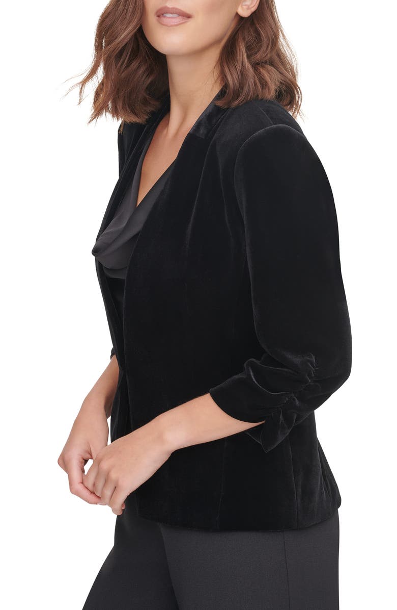 Eliza J Velvet Blazer, Alternate, color,