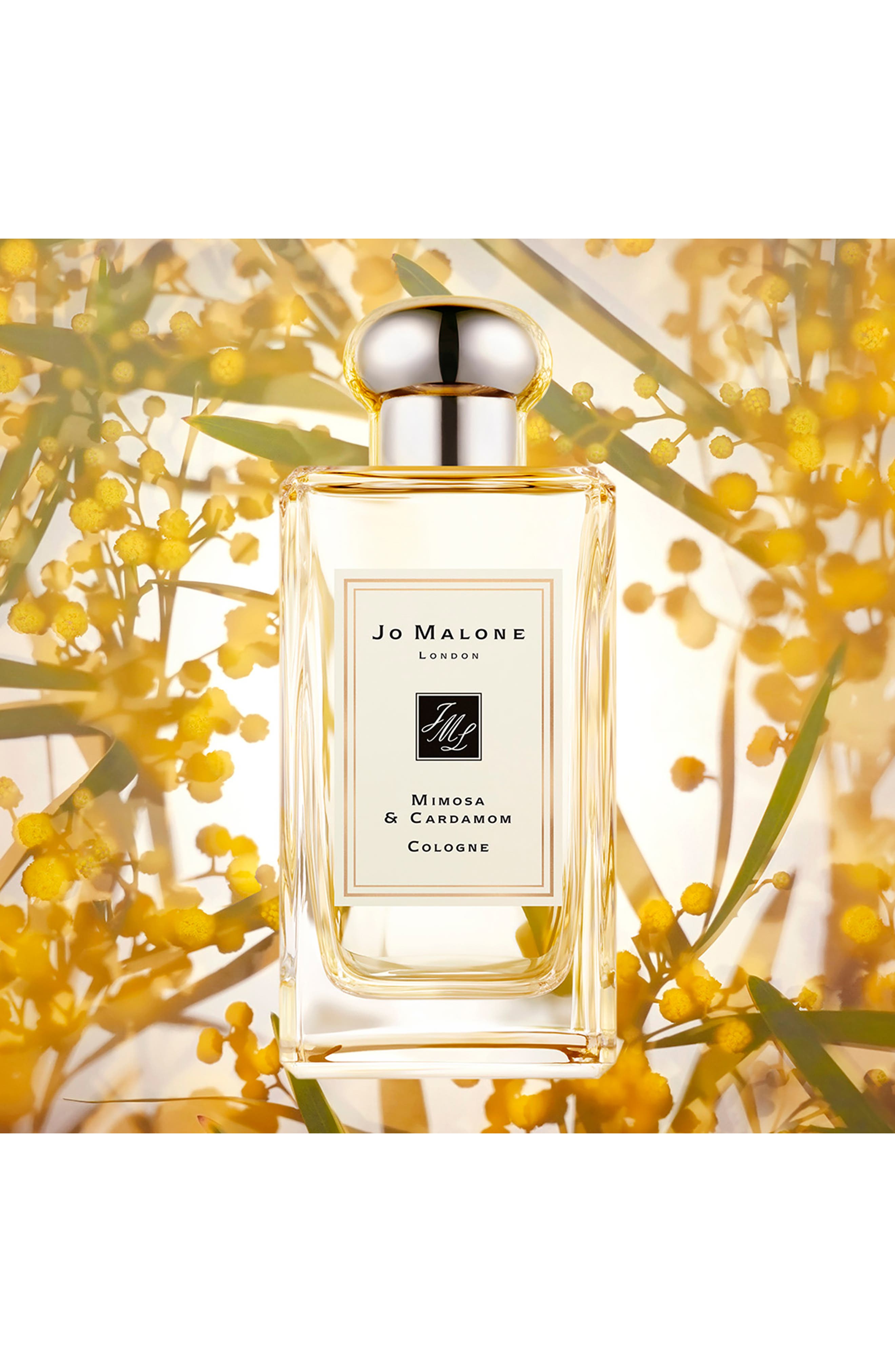 Mimosa & Cardamom Cologne (Women) | Nordstrom