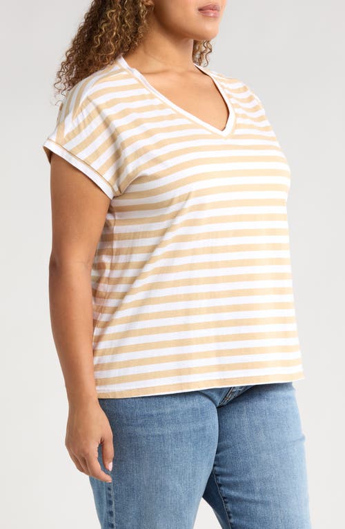 CASLON CASLON® STRIPE V-NECK COTTON T-SHIRT 