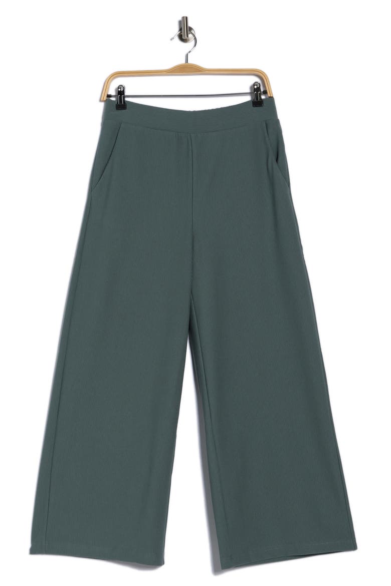 Rib Knit Wide Leg Pants, Alternate, color, SEA GREEN