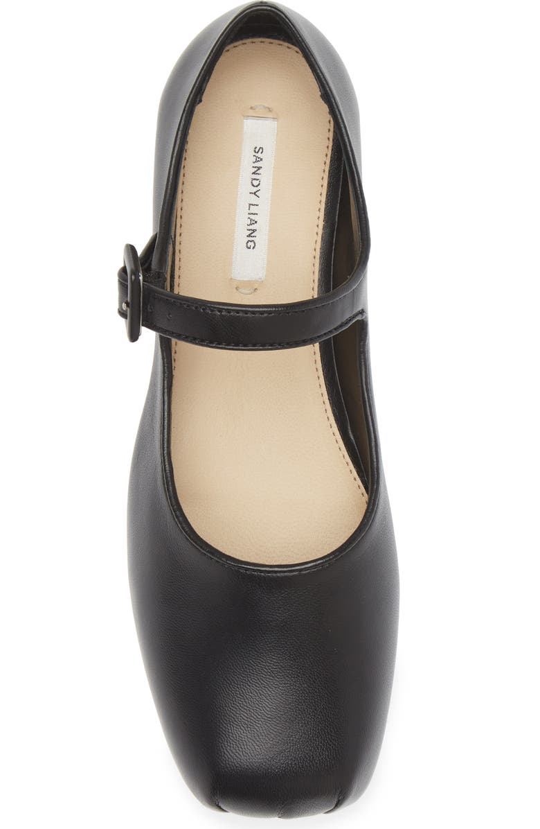 Sandy Liang Pointe Mary Jane Flat, Alternate, color,