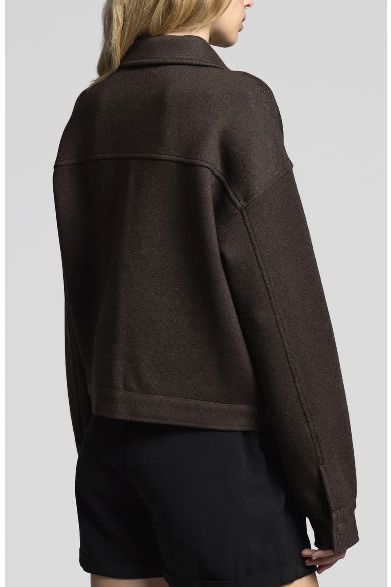 Abela Oversize Jacket, Alternate, color, ESPRESSO