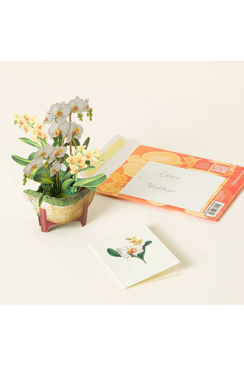 A Year of Flowers Pop-Up Greeting Cards by FreshCut Paper LLC, Alternate, color, Multi