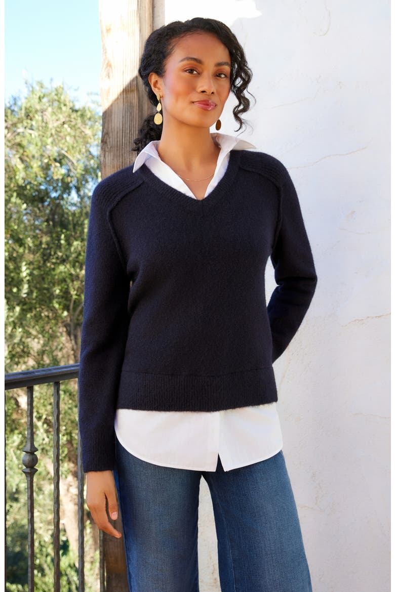 Layered V-Neck Sweater, Alternate, color, NAVY