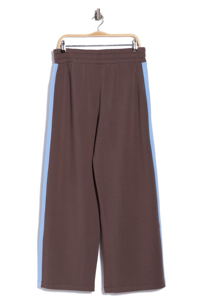 Colorblock Wide Leg Track Pants, Alternate, color, DARK CACAO