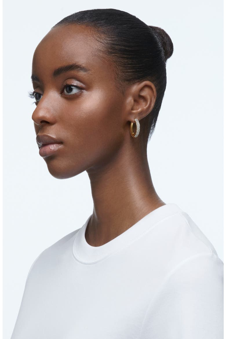 Dextera Crystal Hoop Earrings, Alternate, color, GOLD