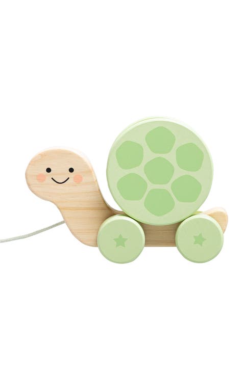 Wooden Turtle Pull Toy
