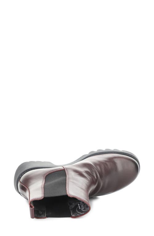 Fly London Medi Purple Leather Chunky Chelsea Boots In Multi