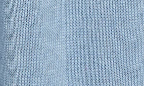 Alexander Mcqueen Mcqueen Skull Sweater In Shirting Blue