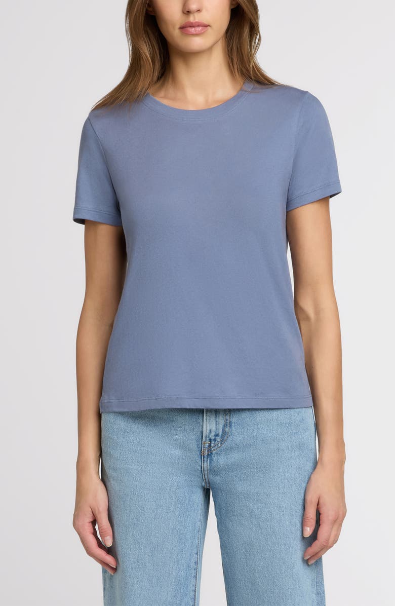 The Standard Stitch The Organic Cotton Crew Tee, Main, color, Steel Blue