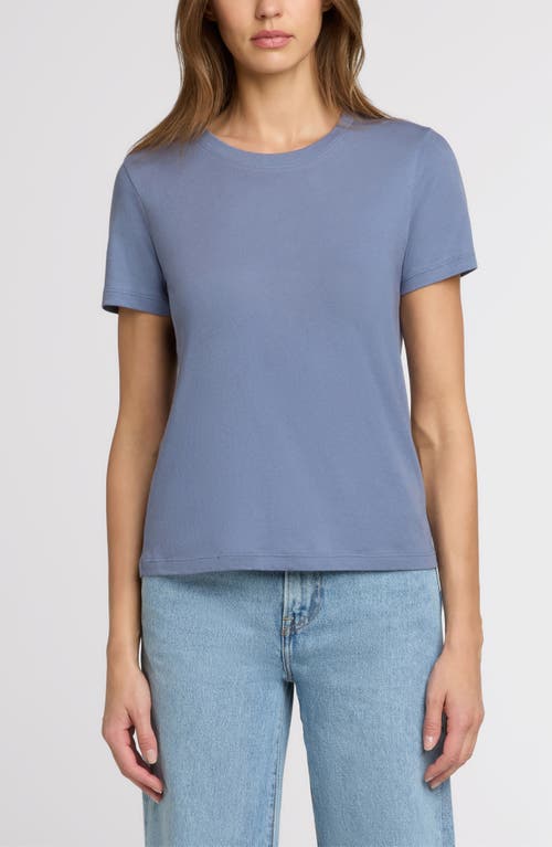 The Standard Stitch The Organic Cotton Crew Tee In Blue