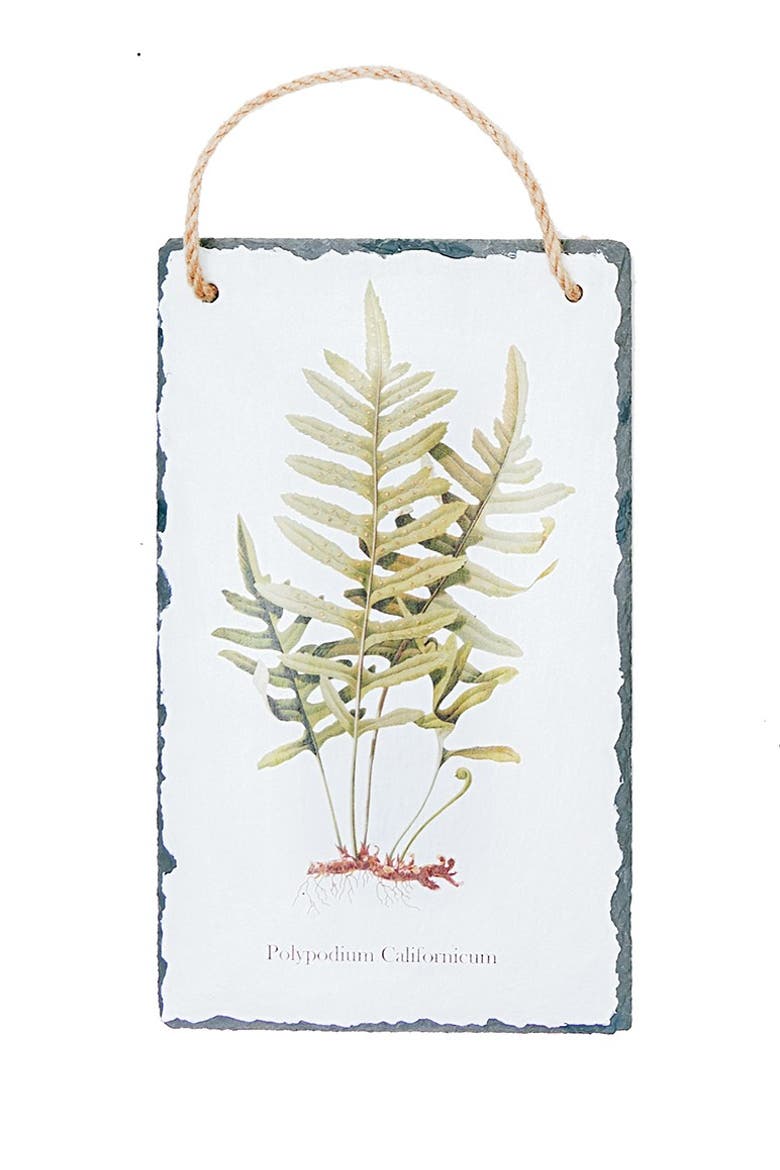 Fern Slate Hanging Assortment of 4 Wall Art Signs 7" x 11.75", Alternate, color, White