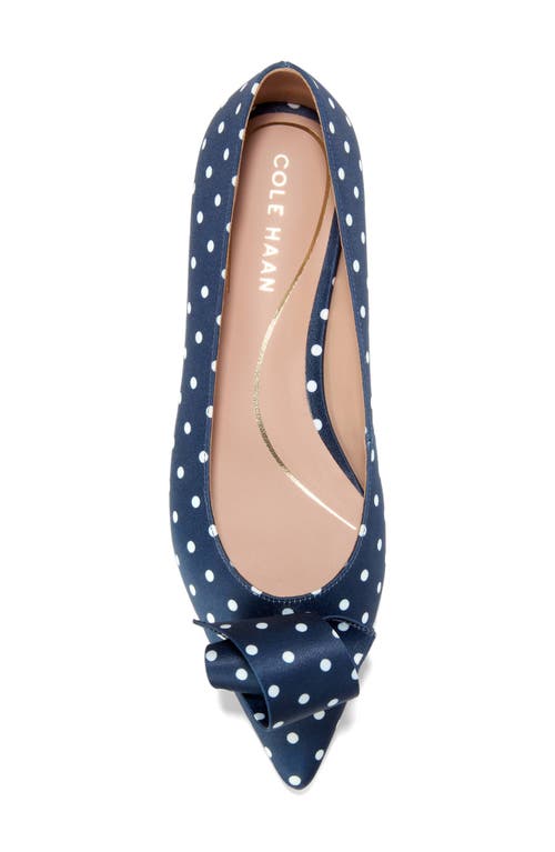 Cole Haan Florette Pointed Toe Skimmer Flat In Blue