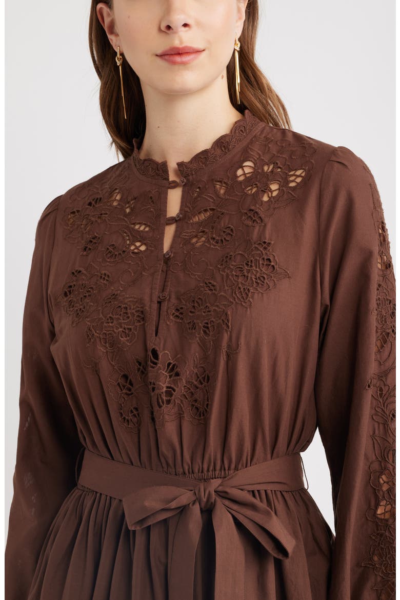 Embroidered Long Sleeve Tie Waist Minidress, Alternate, color, BROWN BITTER