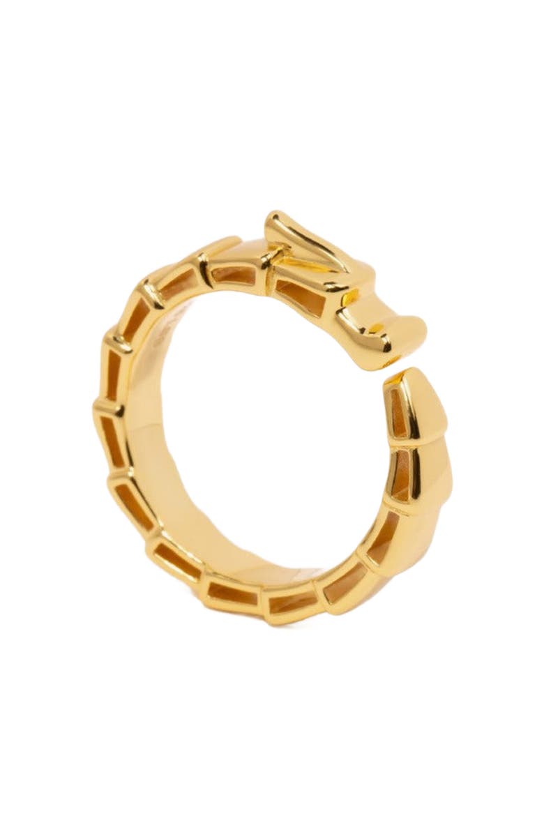 Little Sky Stone Fiery Dragon Band Ring, Main, color, Gold