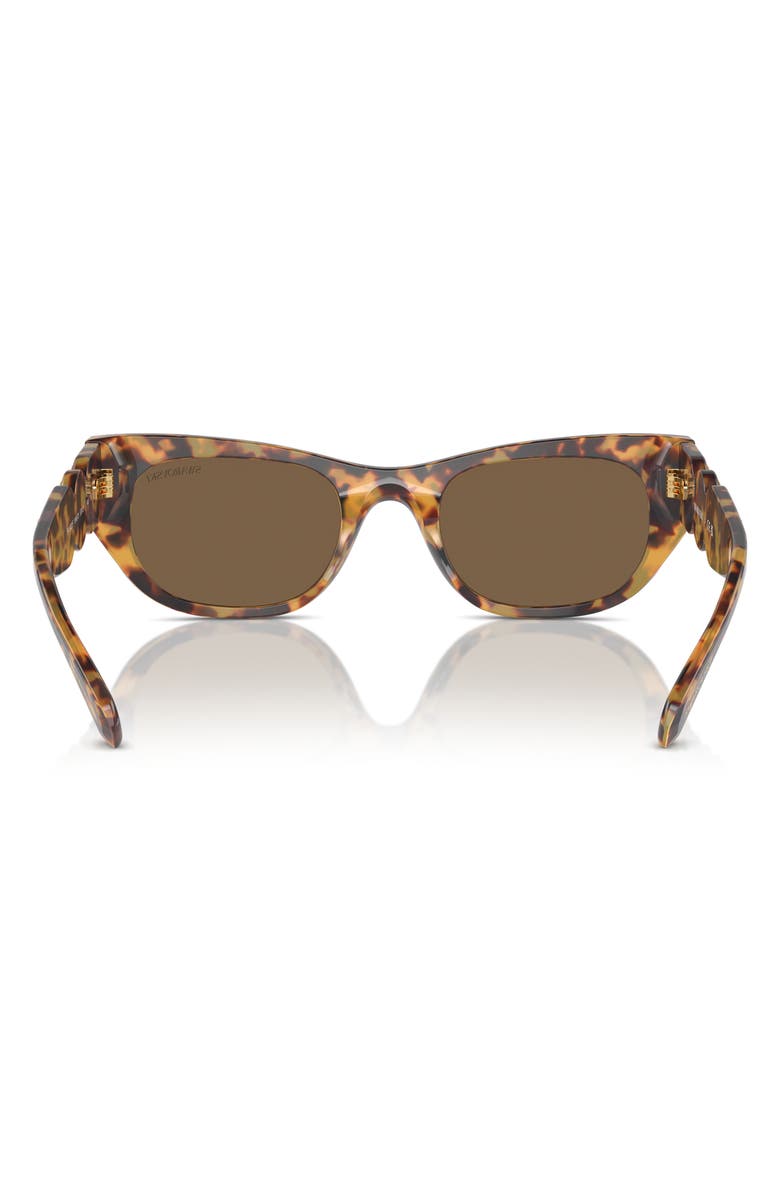 Swarovski 53mm Pillow Sunglasses, Alternate, color, Havana Transparent