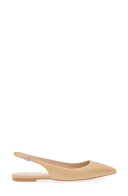 Shop Stuart Weitzman Mara Pointed Toe Slingback Flat In Ginger