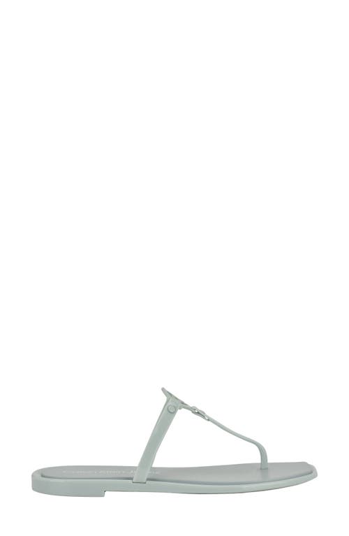 Calvin Klein Edhen Flip Flop In Light Green 331