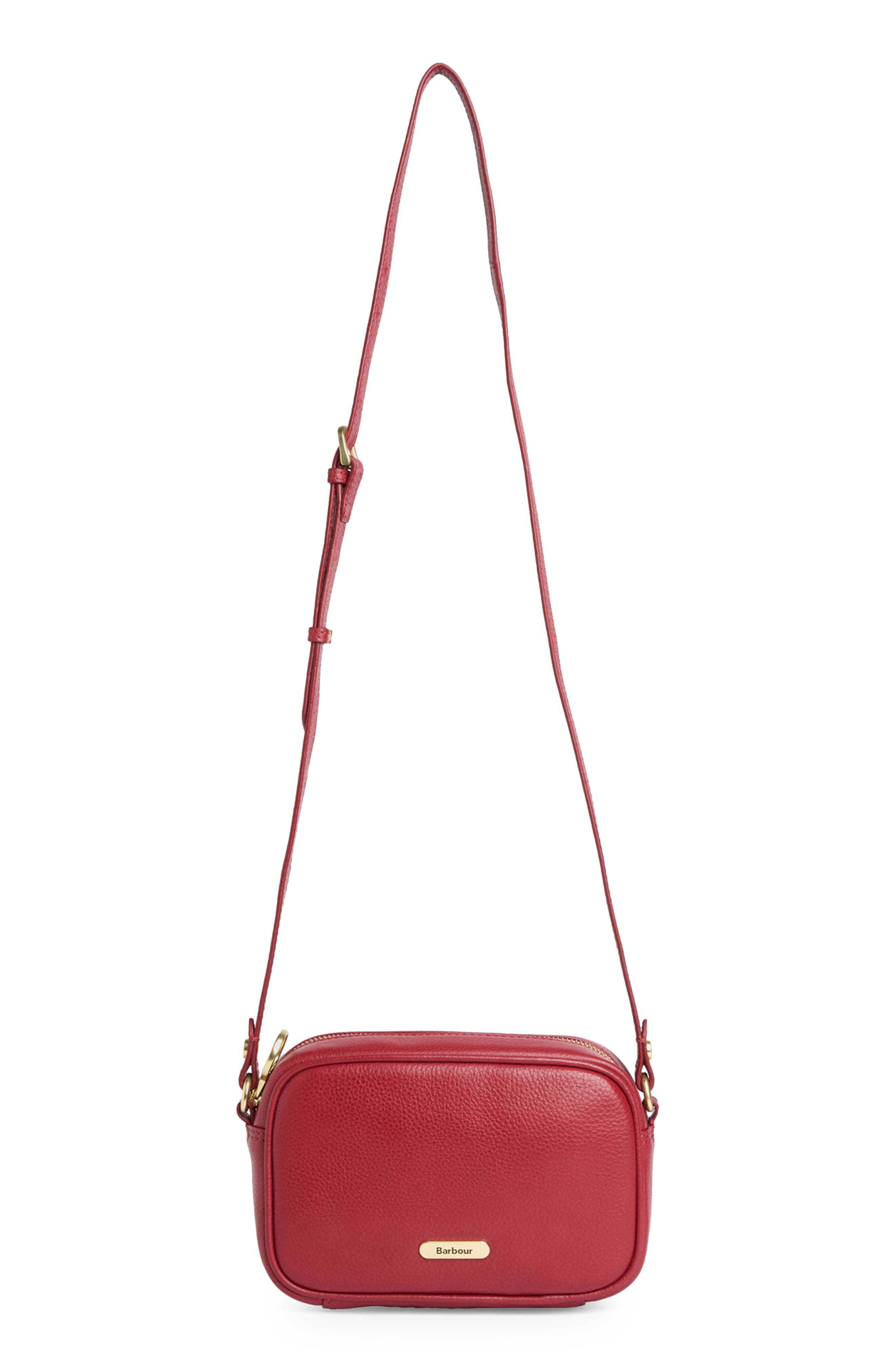 Daphne Mini Leather Crossbody Bag, Alternate, color, RED