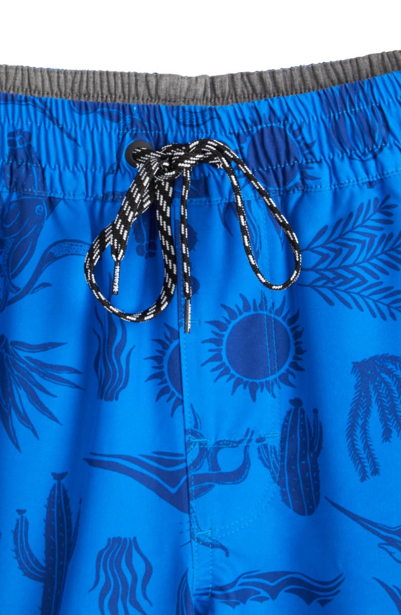 Hurley Danube Volley Swim Shorts, Alternate, color, Blue / White