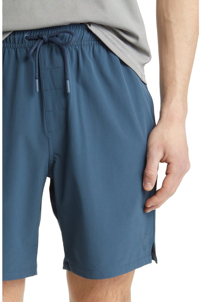 Birdie Stretch Performance Golf Shorts, Alternate, color, NAVY