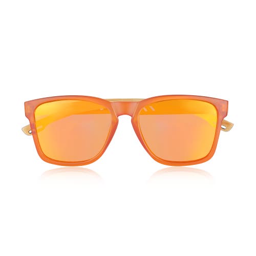 Shop Earth Wood Haven Polarized Sunglasses