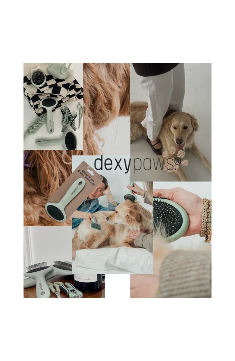 Dexypaws Pet Grooming Palm Brush, Sage Green, Dog & Cat Grooming Tool, Alternate, color, Green