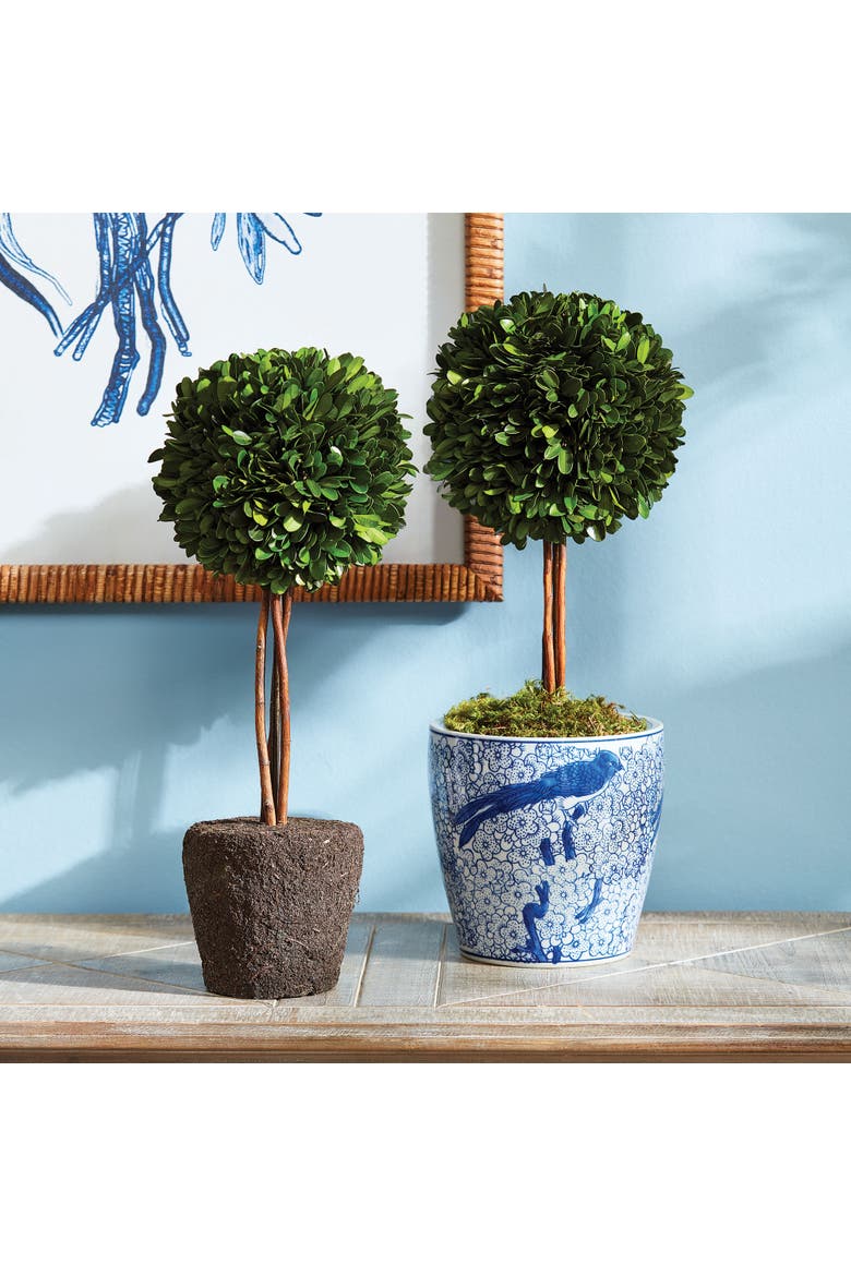 Boxwood Single Sphere Topiary Drop-In 16", Alternate, color, Green