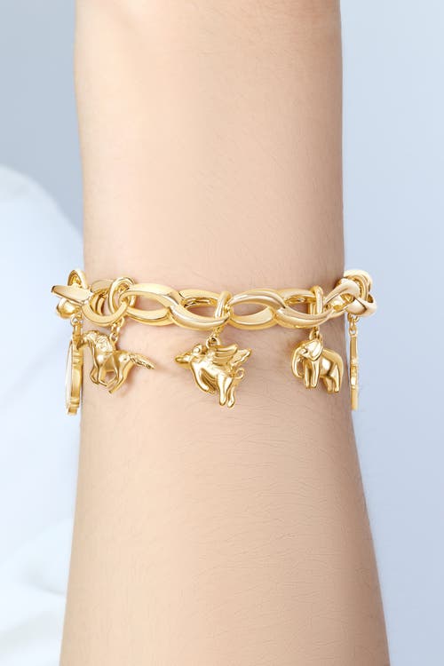 Mint & Lily Bold Cable Link Charm Bracelet In Gold
