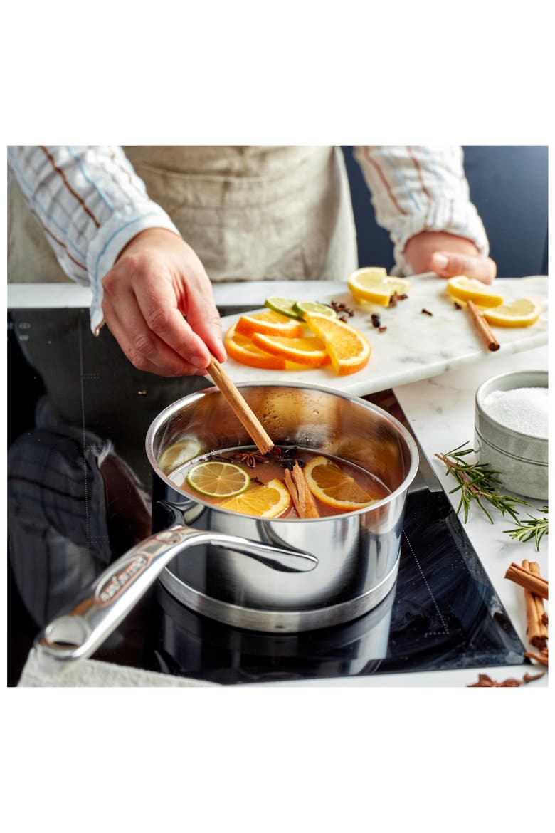 Atlantis 1.6-Quart Stainless Steel Sauce Pan & Lid, Alternate, color, STAINLESS STEEL