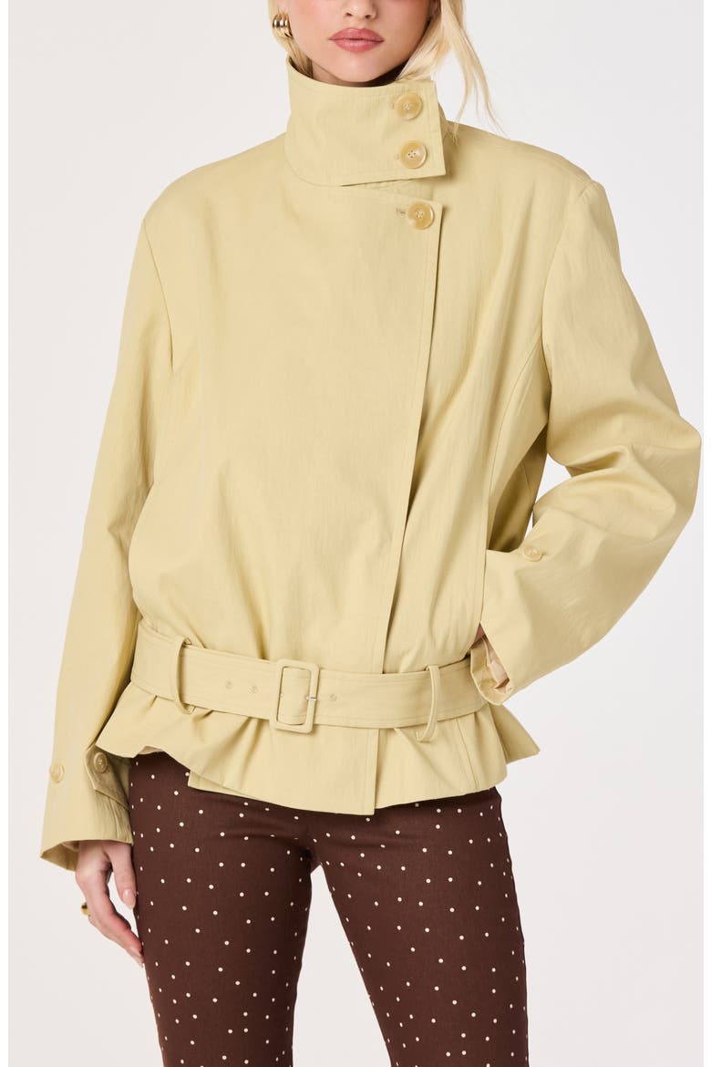 Theo Belted Jacket, Alternate, color, TAN