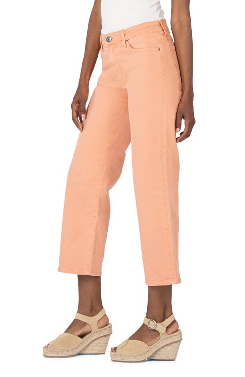 Kut From The Kloth High Waist Crop Wide Leg Jeans