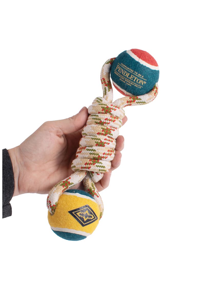 Lasso Rope Dog Toy, Alternate, color, BEIGE