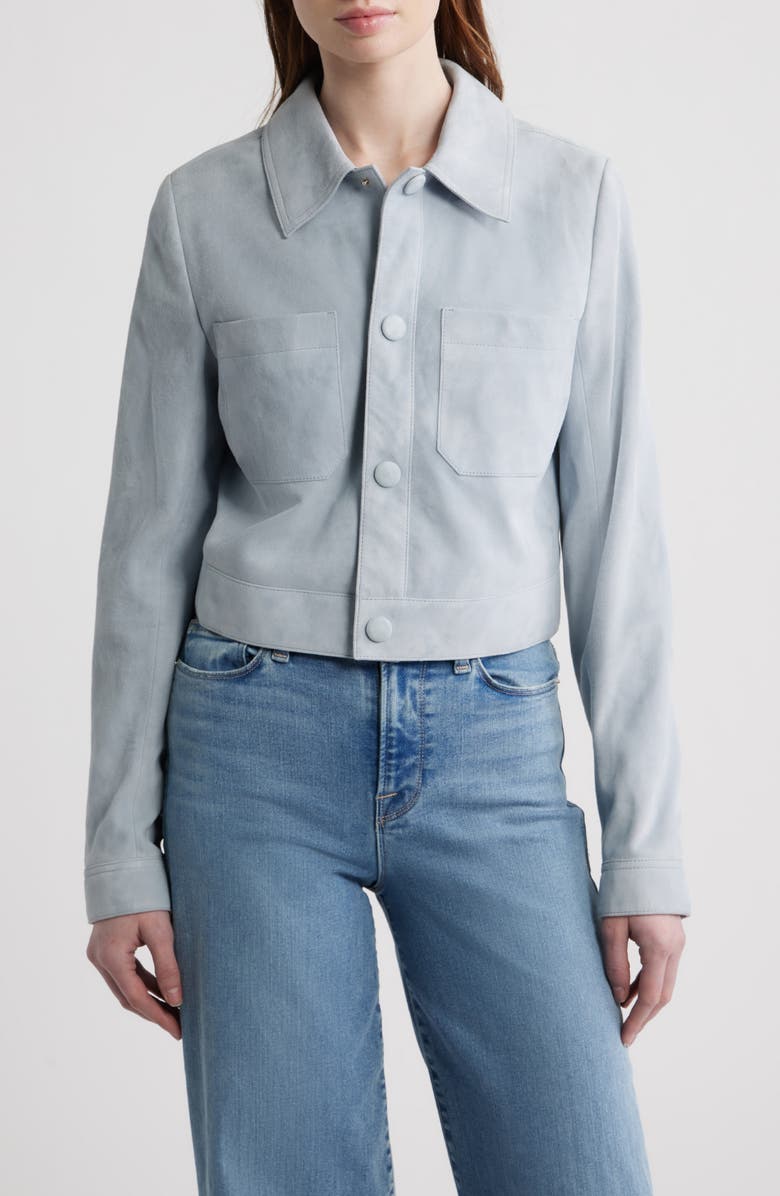 FRAME The Small Suede Jacket, Alternate, color, Sky Blue