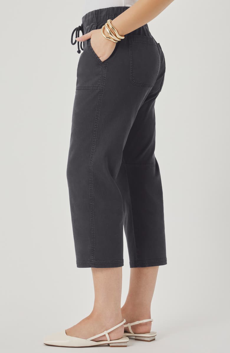 Splendid Regina Crop Pants, Alternate, color, Lead Grey