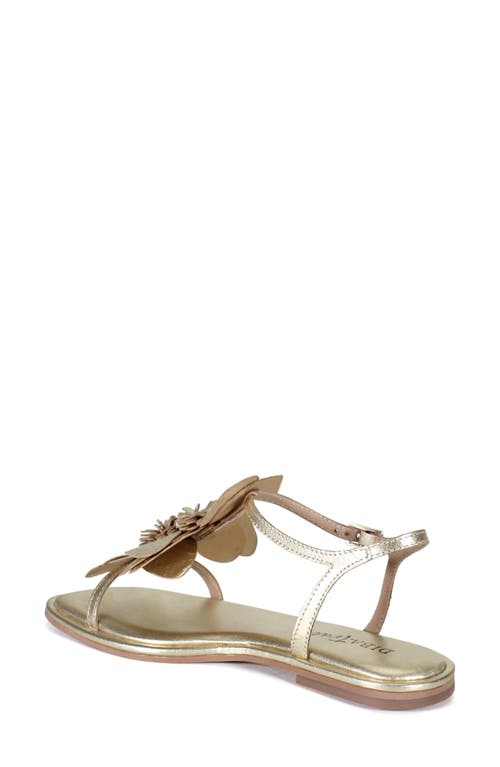 Diba True Per Shing Sandal In Gold