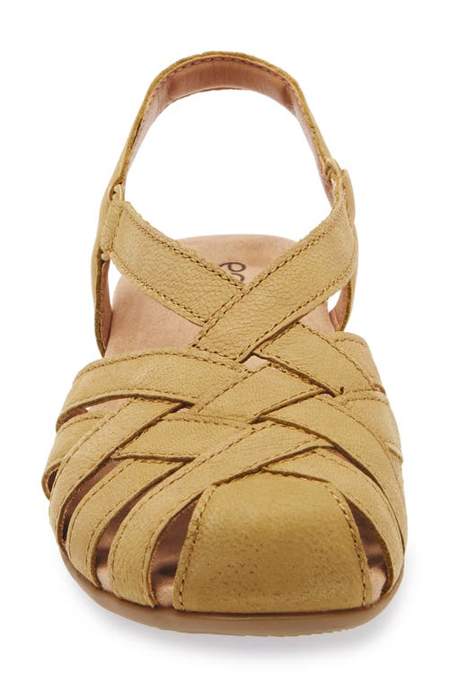 Earth ® Berri Slingback Sandal In Brown