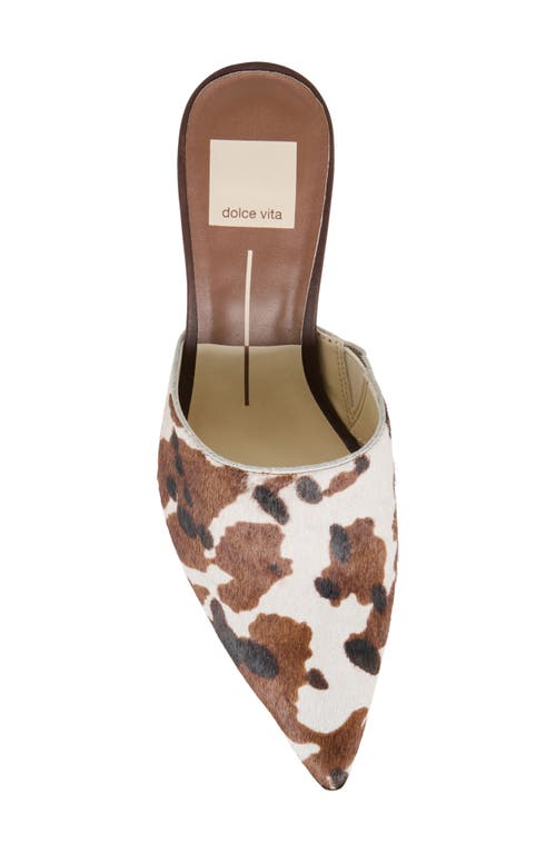 Dolce Vita Lexy Pointed Toe Kitten Heel Mule