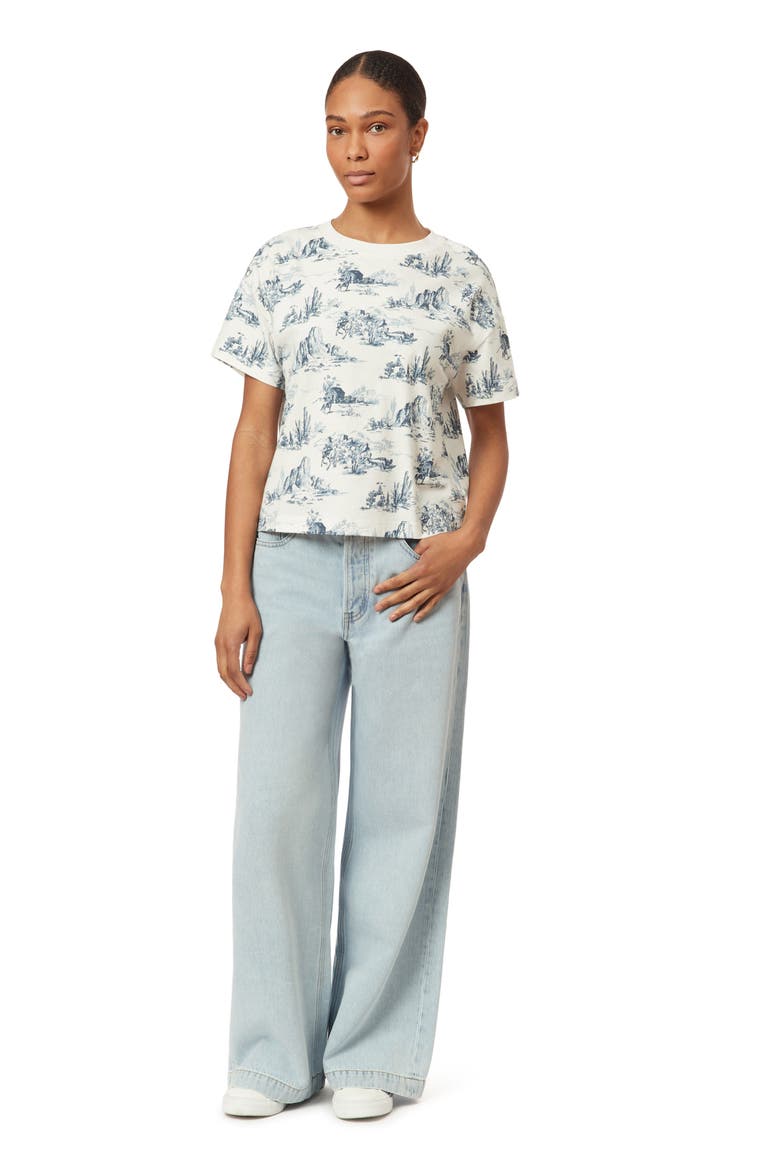 Dyed Boxy Crop Graphic T-Shirt, Alternate, color, BLUE TOILE