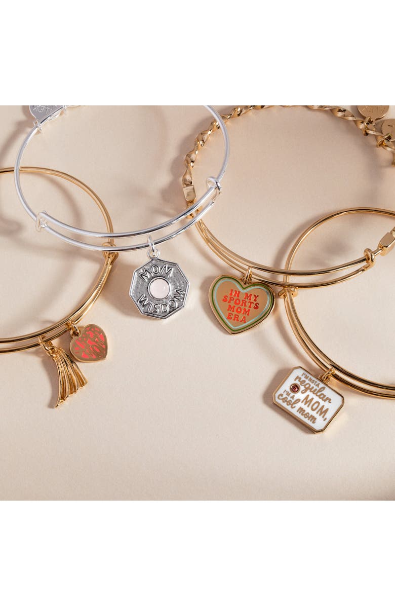 Alex and Ani BILY Mom - Mom Wisdom EWB, Alternate, color, Silver