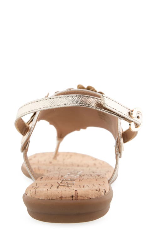 AEROSOLES AEROSOLES CONNIE FLOWER SLINGBACK SANDAL 