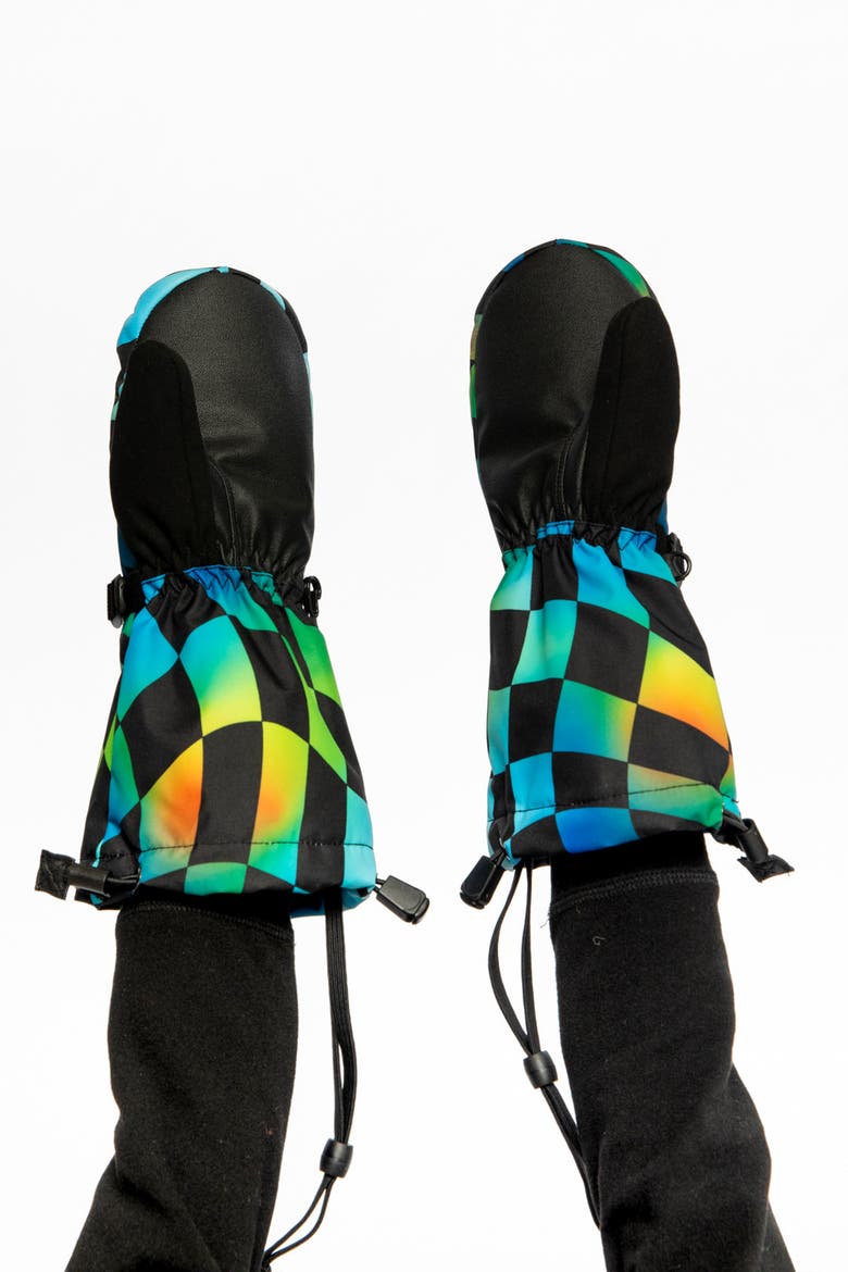 Checkered Teknik Waterproof Cordura Reinforced Winter Mittens, Alternate, color, Blue Checkered Print