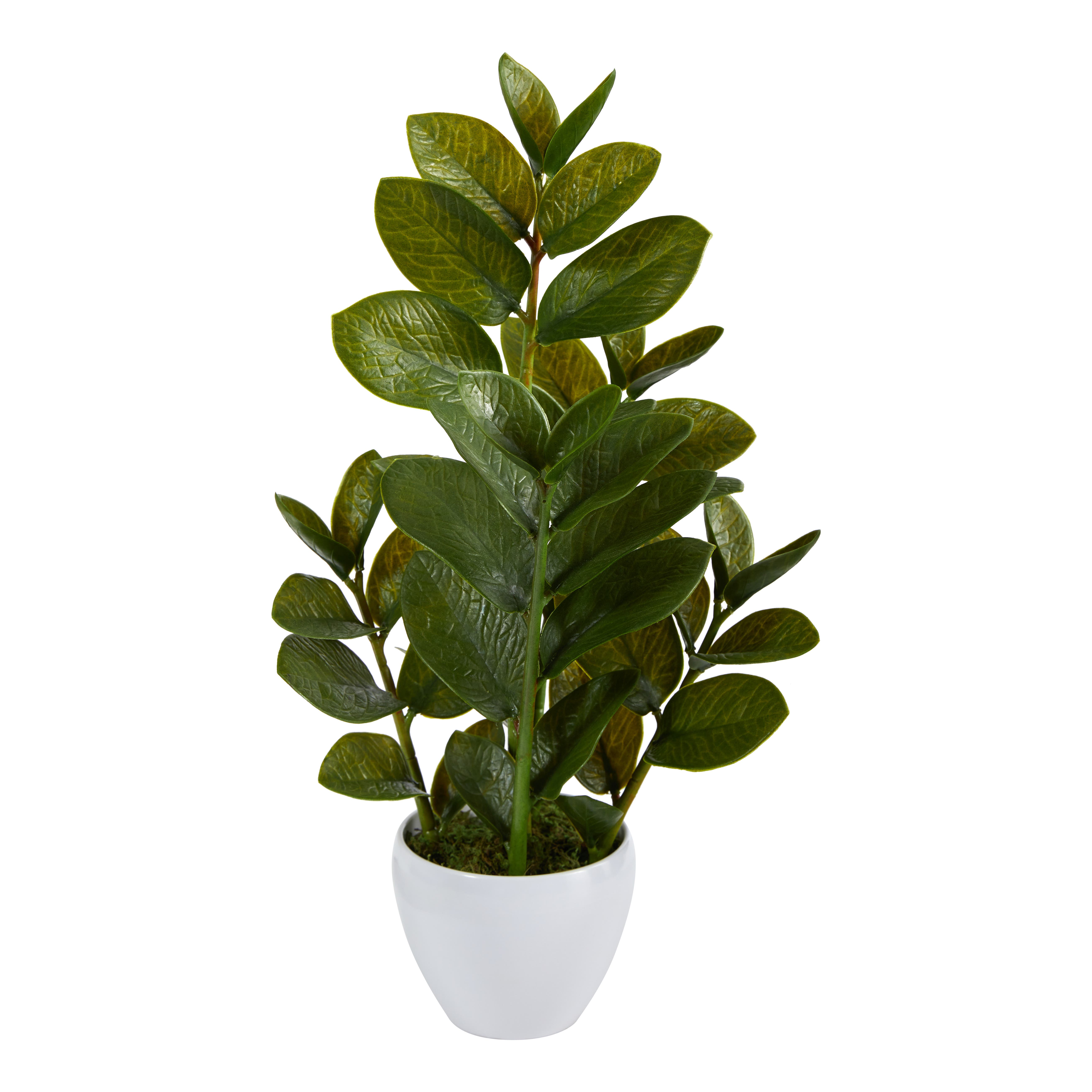 selected Green