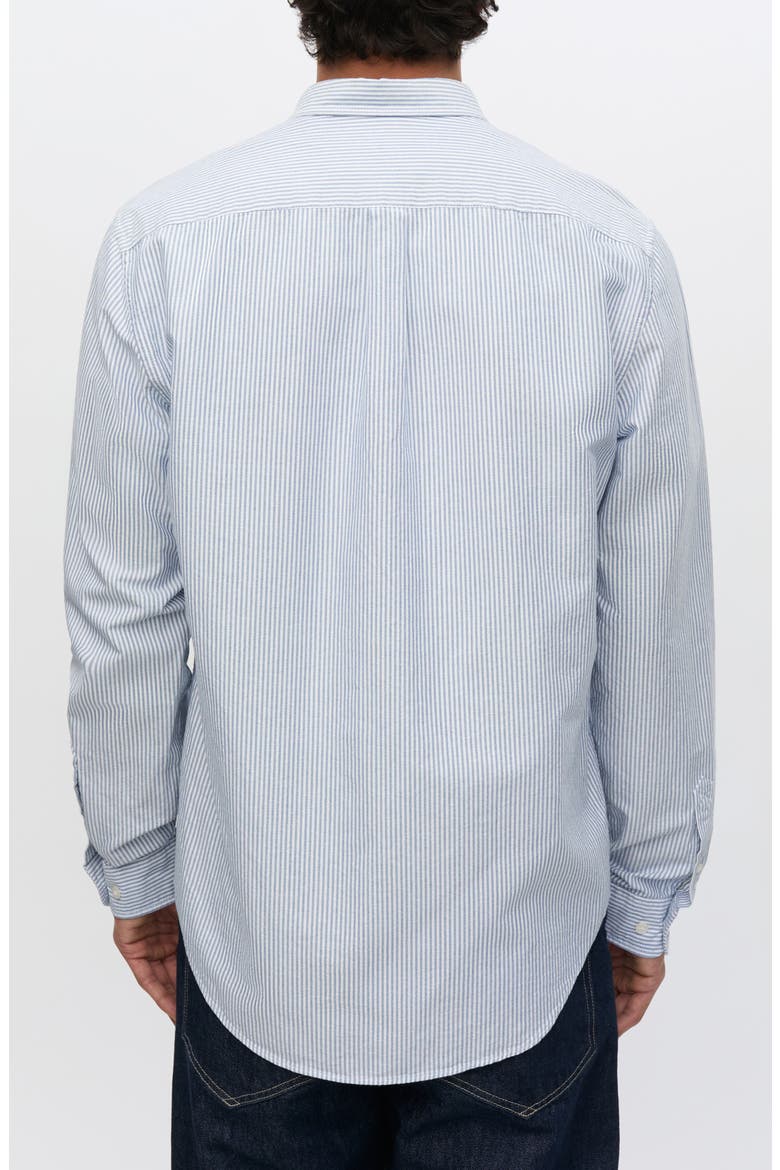 Saliam Cotton Button Down Shirt, Alternate, color, OXFORD NARROW STRIPE