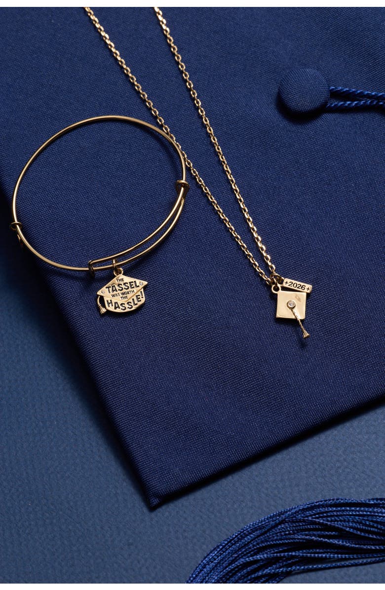 Alex and Ani "The Tassel Was Worth The Hassle" Charm Bangle, Alternate, color, 