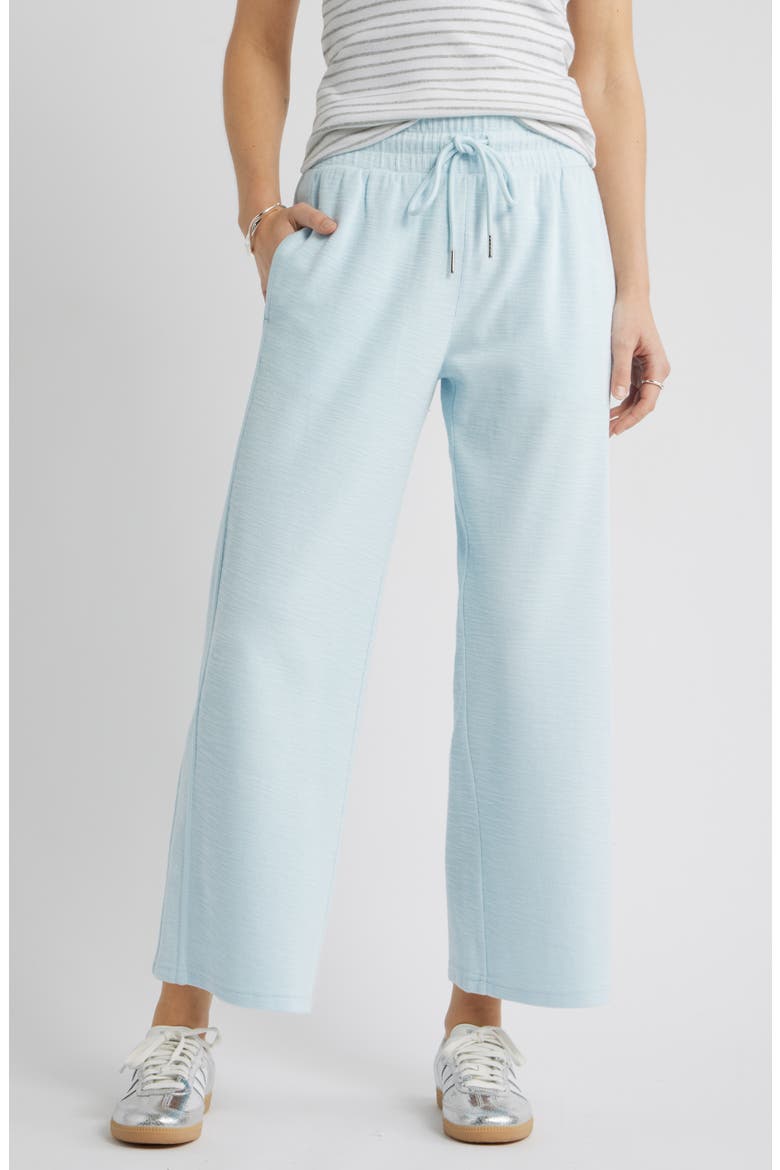 Ankle Wide Leg Travel Pants, Main, color, BLUE DELICATE