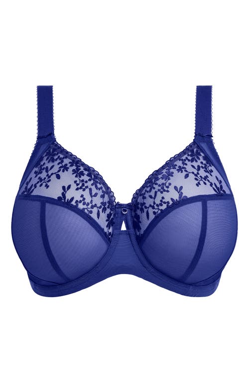 Elomi Zarla Full Figure Underwire Bra In Blue