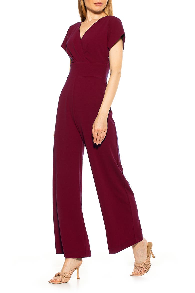 Surplice Wide Leg Jumpsuit, Alternate, color, BURGUNDY