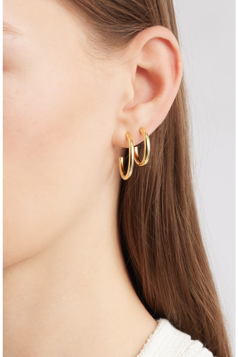 Demi Fine Set of 2 Hoop Earrings, Alternate, color, 14K GOLD PLATED