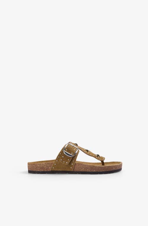 Scalpers Bio T Studs Sandal In Brown